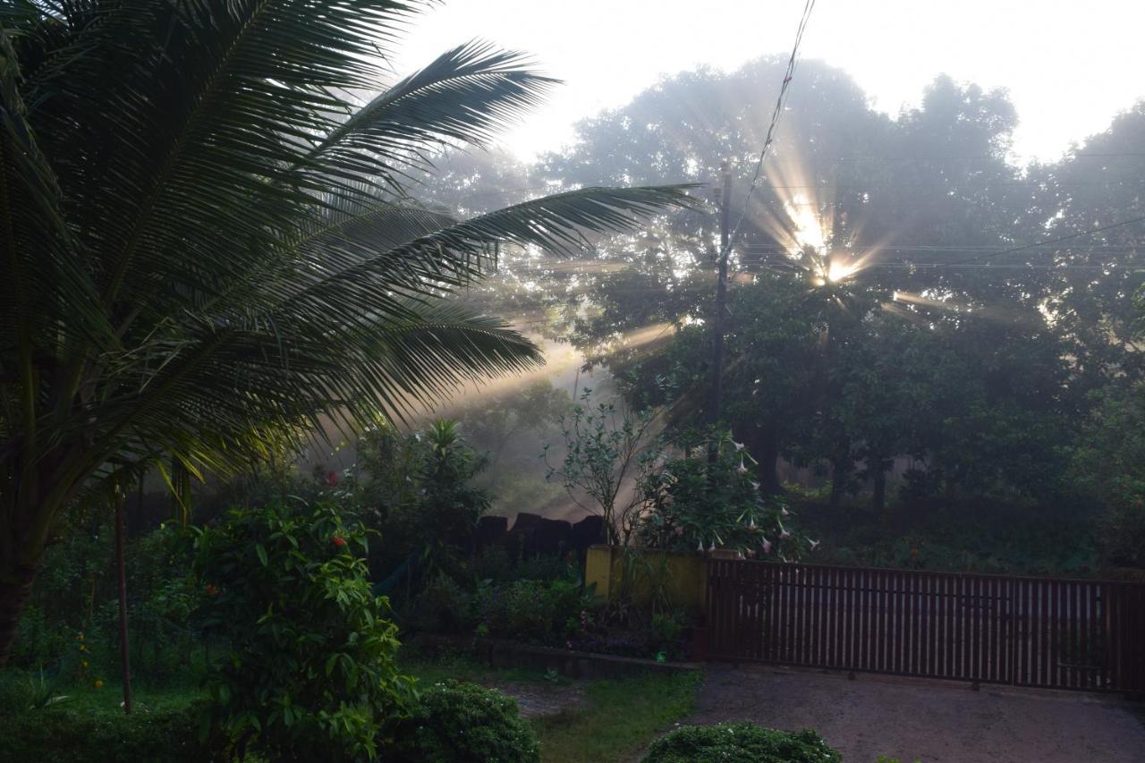 Ibbani Homestay, Siddapur מראה חיצוני תמונה
