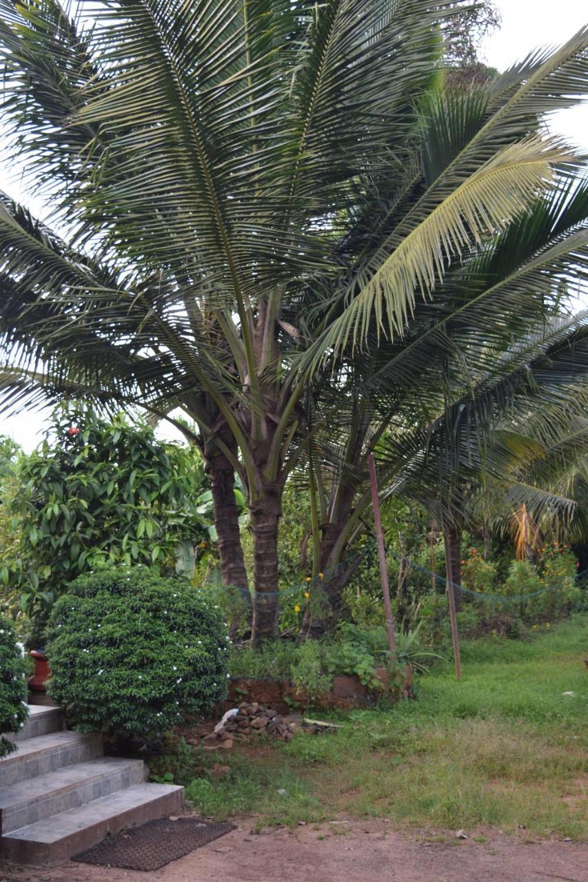 Ibbani Homestay, Siddapur מראה חיצוני תמונה