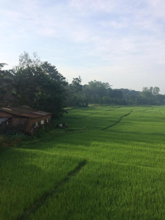 Ibbani Homestay, Siddapur מראה חיצוני תמונה